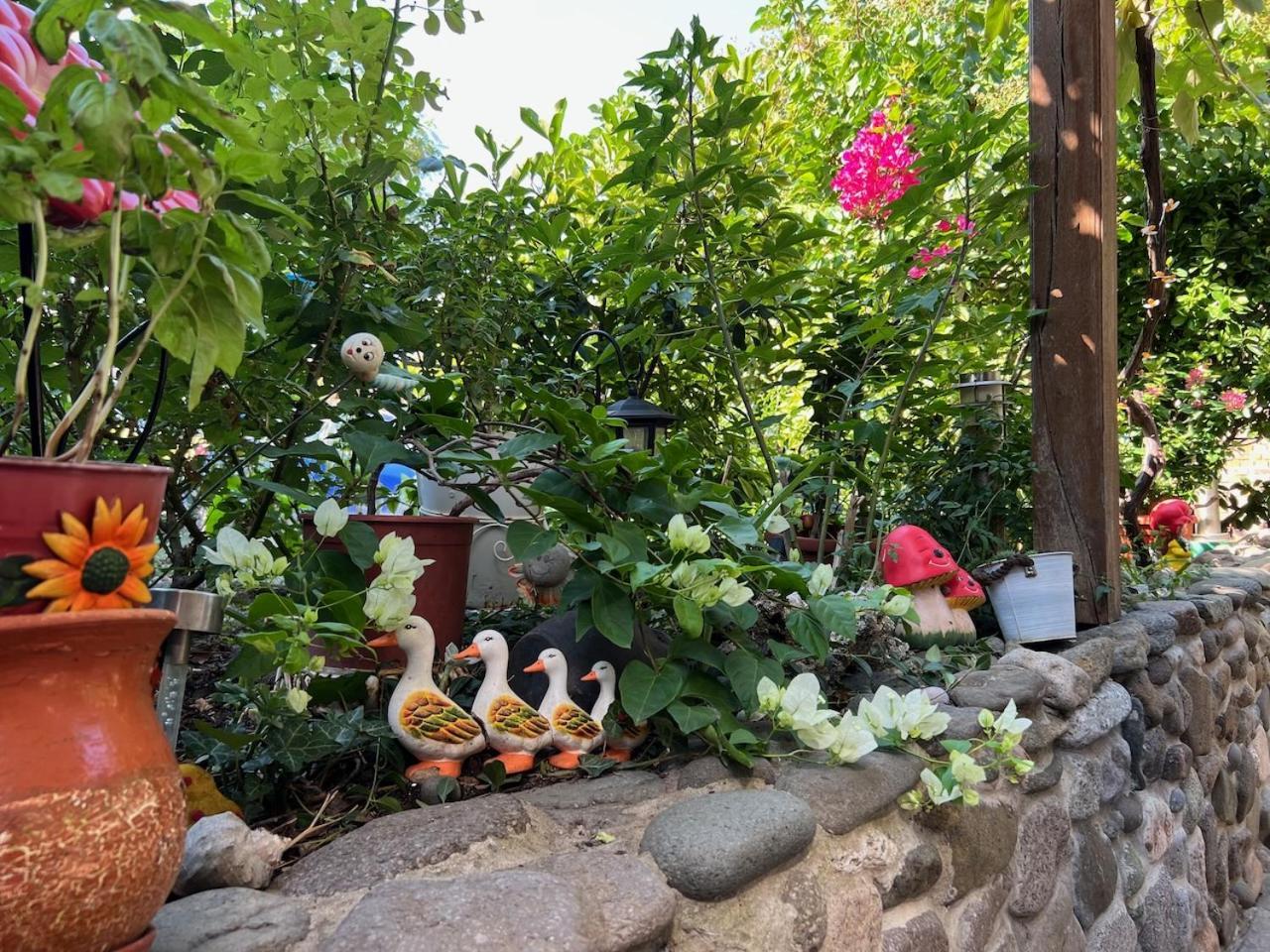 Family Hotel Emilia Σωζόπολη Εξωτερικό φωτογραφία