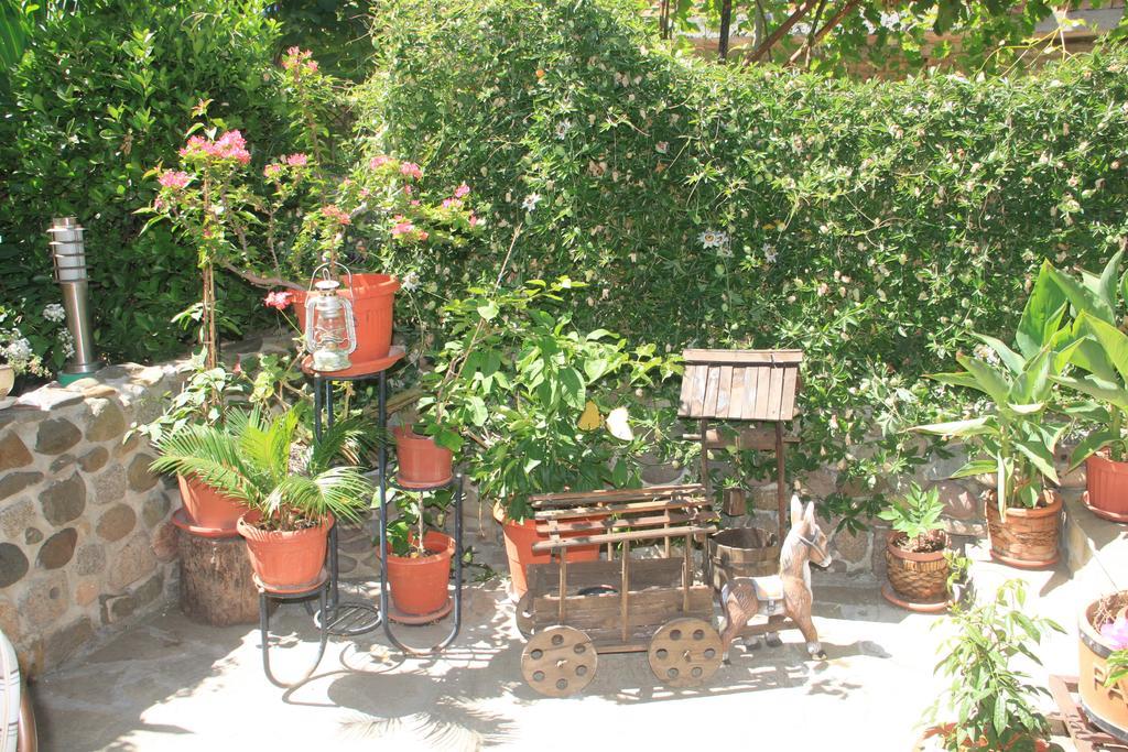 Family Hotel Emilia Σωζόπολη Εξωτερικό φωτογραφία